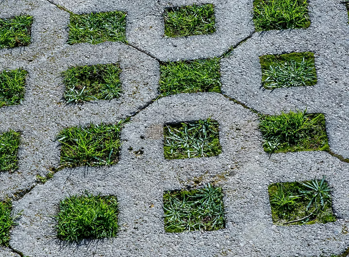 EcologischeBestrating.jpg