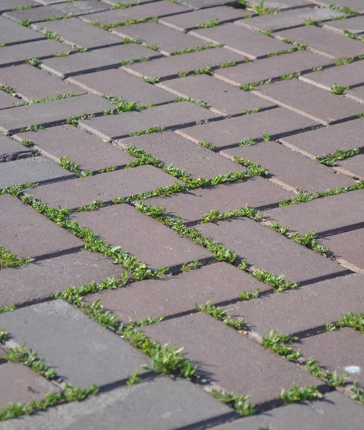 tile-831527_1280.jpg